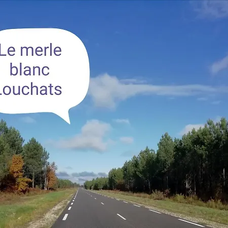 Le Merle Blanc