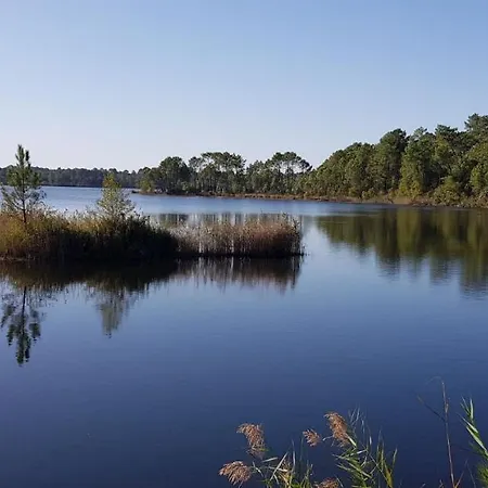Le Merle Blanc * Louchats