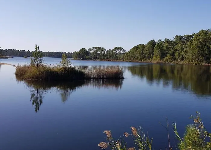 Le Merle Blanc * Louchats